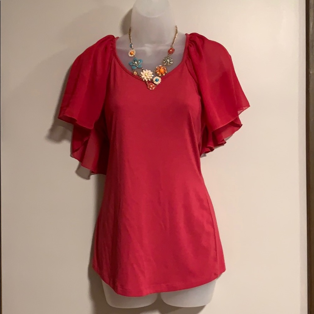 Cute raspberry sheer arm top